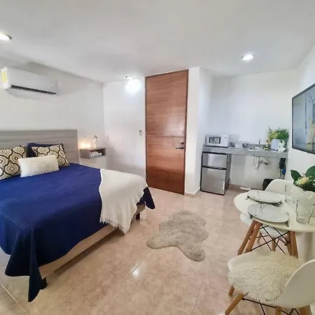 Departamento Centrico 5T Playa Ac Apartment